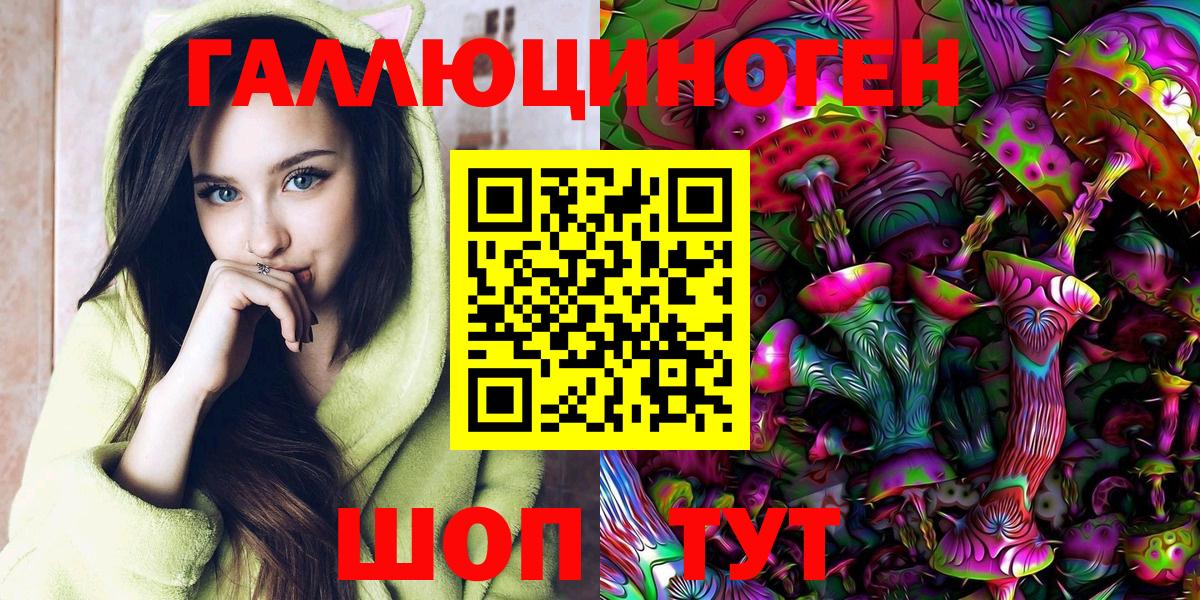 Жуковский  хочу   Вход с VPN  Псилоцибиновые грибы Psilocybine cubensis 